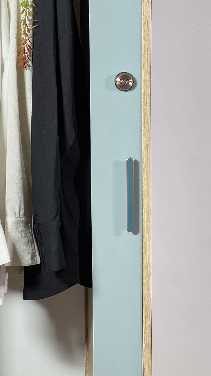 خزانة مبتكرة تجمع بين الأناقة والعملية: تنظيم آمن ومتعدد الوظائف مع توفير مثالي للمساحة