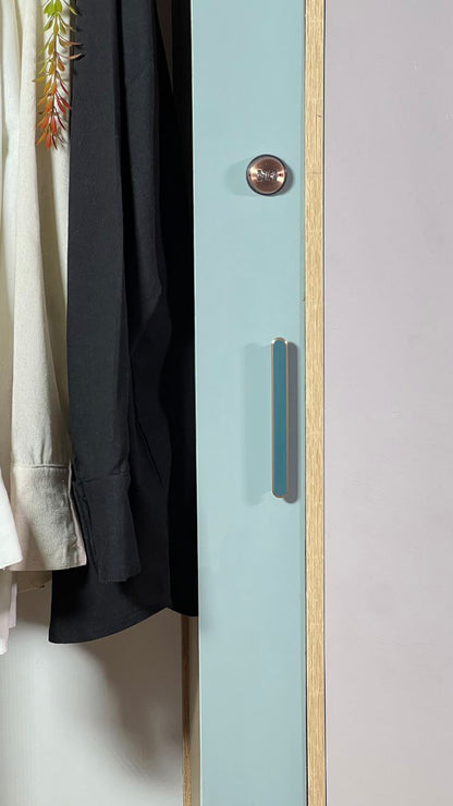 خزانة مبتكرة تجمع بين الأناقة والعملية: تنظيم آمن ومتعدد الوظائف مع توفير مثالي للمساحة