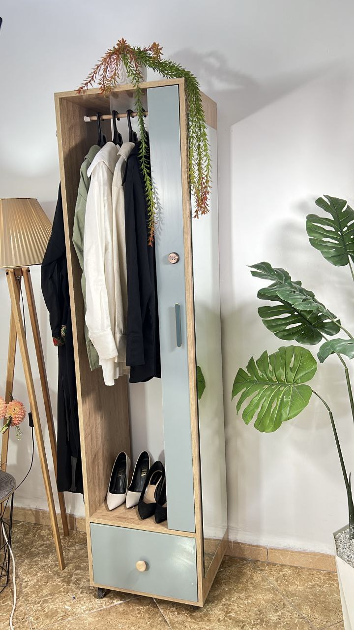 خزانة مبتكرة تجمع بين الأناقة والعملية: تنظيم آمن ومتعدد الوظائف مع توفير مثالي للمساحة