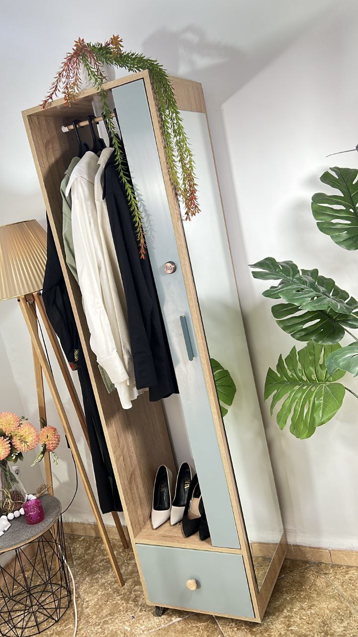 خزانة مبتكرة تجمع بين الأناقة والعملية: تنظيم آمن ومتعدد الوظائف مع توفير مثالي للمساحة